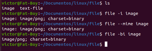 la opción mime de el comando file en linux
